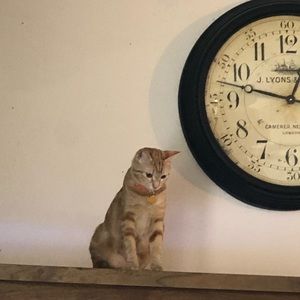 Meet your Posher, Kaleb